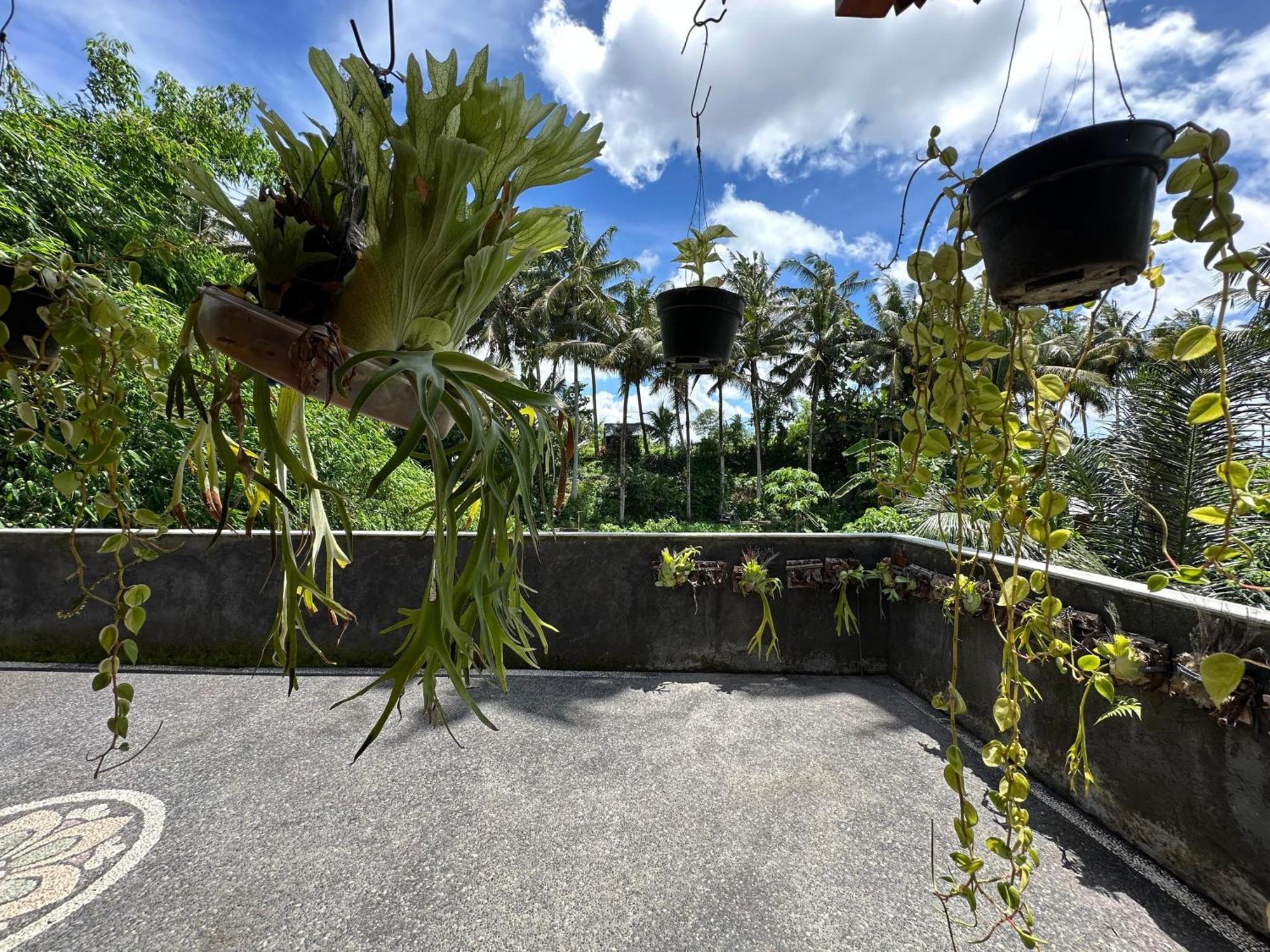 Tagel Karsa House Hotel Ubud  Exterior photo